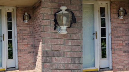 Arkansas Woman Goes Viral After Panicking Over Snake Lounging On Wall