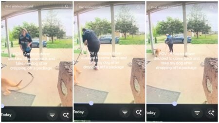 Michigan dog incident
