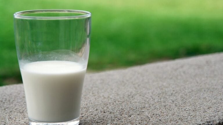Idaho Raw Milk Recommendation