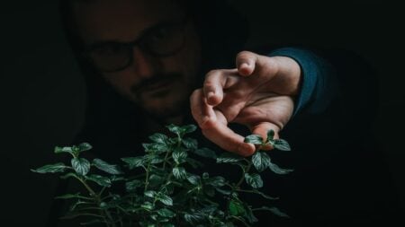 Oregon Man Captures Plant Thief Stealing Nearly Blooming Lily on Video: ‘Bro’s Been Thinking About That for a While’ a person reaching toward a potted plant in a dark setting.
