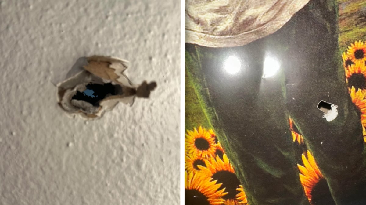 ‘America Is Scary on So Many Levels’: Colorado Gun Owner Loses Firearms After Accidentally Shooting into Neighbor’s House