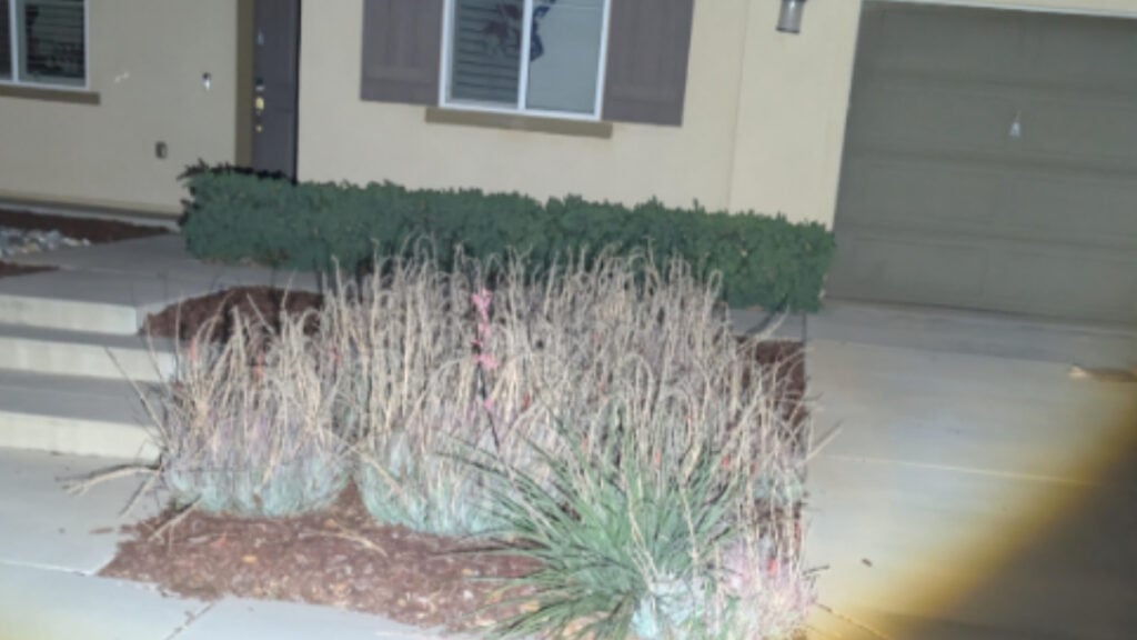 Internet Praises California DoorDasher for Intentionally ‘Blinding’ Customers Who Don’t Turn On Their Porch Light: ‘Bro Brought the Sun’ California DoorDasher for Intentionally ‘Blinding’ Customers Who Don’t Turn On Their Porch Light