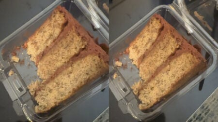 New York Man Blames ‘Disgusting’ Cake on Private Equity: ‘Mr. Krabs tried to tell us!’ New-York-Man-Blames-Disgusting-Cake-on-Private-Equity