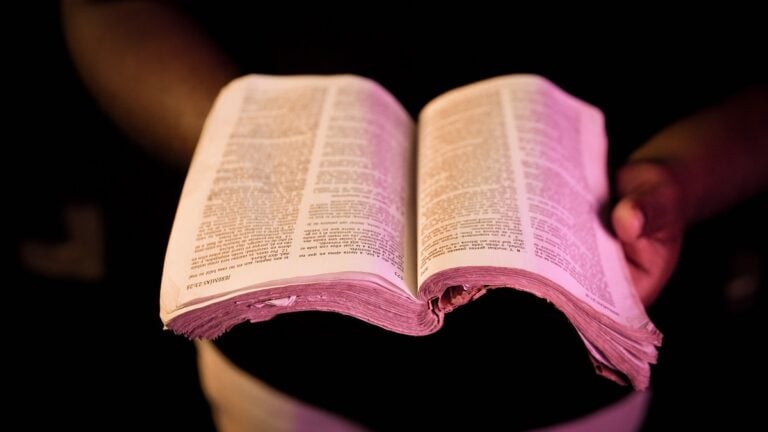 Tennessee Woman Expertly Dodges Jehovah’s Witnesses: ‘I was just trying to take a picture of my new Pride wreath’ Tennessee-Woman-Expertly-Dodges-Jehovas-Witnesses