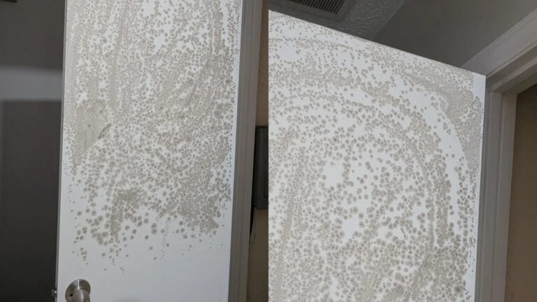 North Carolina Tenant Opens Forgotten Door and Instantly Regrets It: ‘I’m About to Become a Karen I Swear to God’ North Carolina Tenant Opens Forgotten Door and Instantly Regrets It: ‘I’m About to Become a Karen I Swear to God’