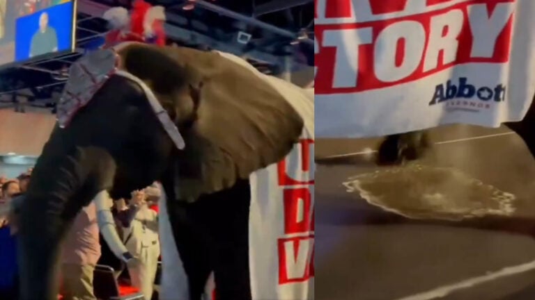 Texas elephant republican GOP convention