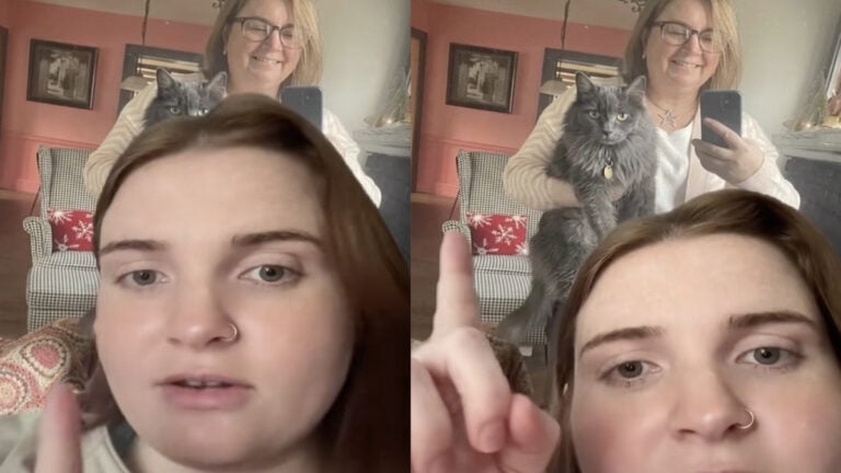 Ohio Woman Desperate to Find Missing Cat Says Scammer Used AI to Give Her False Hope: ‘I Hate AI’ Scammer Tells Ohio Woman They Have Her Cat and Send Her Realistic AI Photo as ‘Proof’