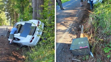Reckless Washington Driver Runs Over Multiple Mailboxes