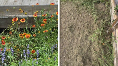 Florida Deputy Allegedly Mocks Woman After Drunk Neighbor Destroys Her Flowers