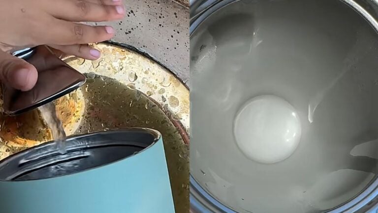 Disneyland Guest Alarmed After Spotting Cloudy Water at California Park: ‘Look at Your Water Before You Drink It’ Disneyland Guest Alarmed After Spotting Cloudy Water at California Park