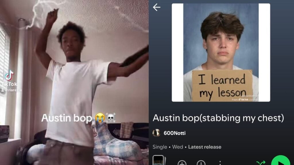 Outrage After Black Community Starts Trend Reenacting The Stabbing of Texas Teen Austin Metcalf While Dancing to Controversial Song: ‘DISGUSTING’ Edited image of Texas teen.