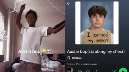 Outrage After Black Community Starts Trend Reenacting The Stabbing of Texas Teen Austin Metcalf While Dancing to Controversial Song: ‘DISGUSTING’ Edited image of Texas teen.