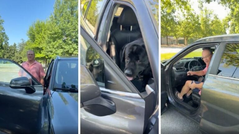 Maryland Citizen Calls Out Alleged Animal Abuser for Leaving Dog in Hot Car: ‘Make This Guy Regret It’