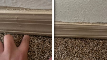 Florida Townhouse Resident Panics After Worms Invade His Home from Beneath the Floor: ‘If It’s a Sinkhole, You Could Literally Die’ Florida Townhouse Resident Panics After Worms Enter His Home from Beneath the Floor