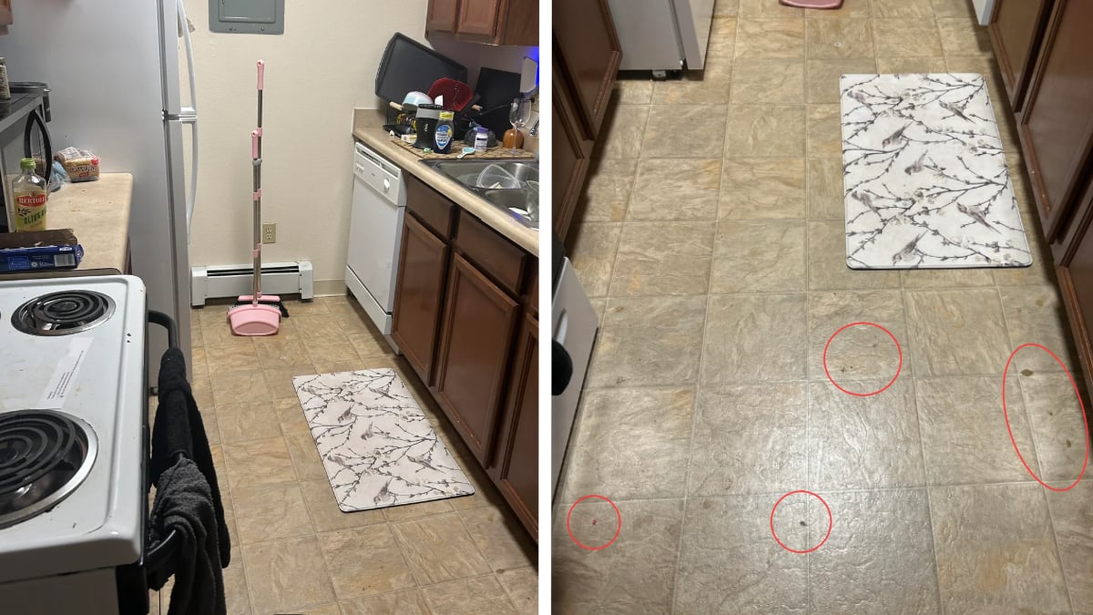 Wyoming Landlord Allegedly Threatens Military Tenant With Eviction Over Breadcrumbs on Kitchen Floor: ‘It Is Personal’