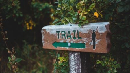 A wooden trail sign surrounded by lush greenery indicating a hiking path.