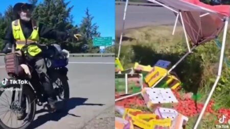 Racist Colorado Man Calls Hispanic Vendor ‘Illegal’ Before Allegedly Destroying Her Fruit Cart: ‘I Wish He Could Be Identified’ A picture of the Colorado man.