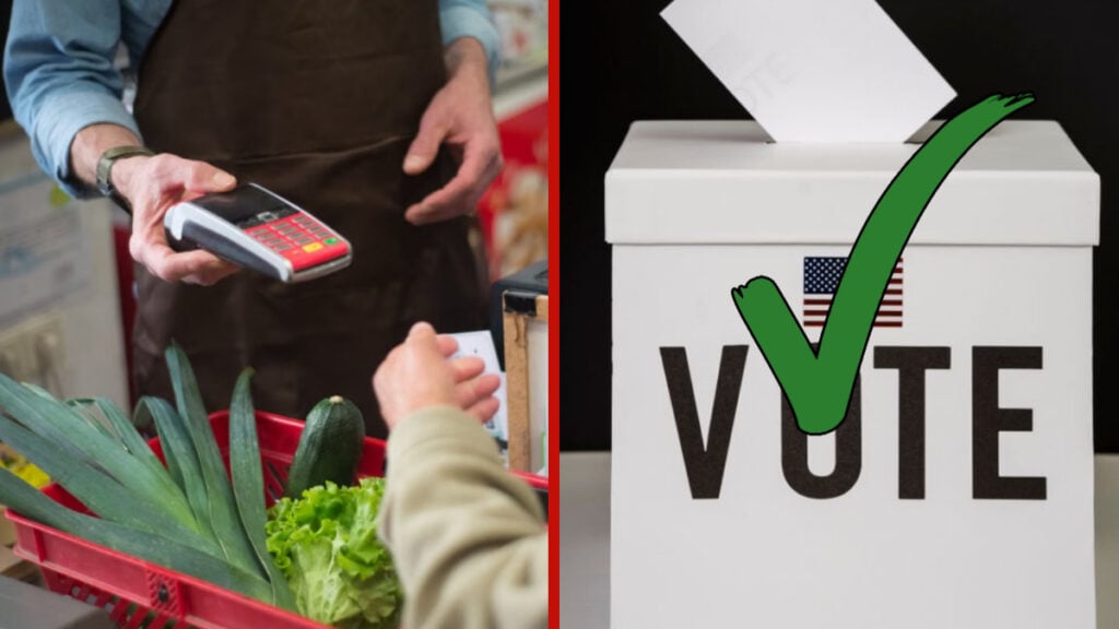 Republicans Accuse California of ‘Rigging’ Elections With Food Stamps Before Intense Midterms: ‘Fun fact they were illegals’