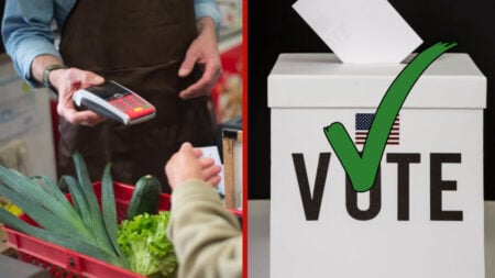 Republicans Accuse California of ‘Rigging’ Elections With Food Stamps Before Intense Midterms: ‘Fun fact they were illegals’
