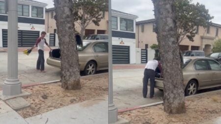 A picture of the California man.