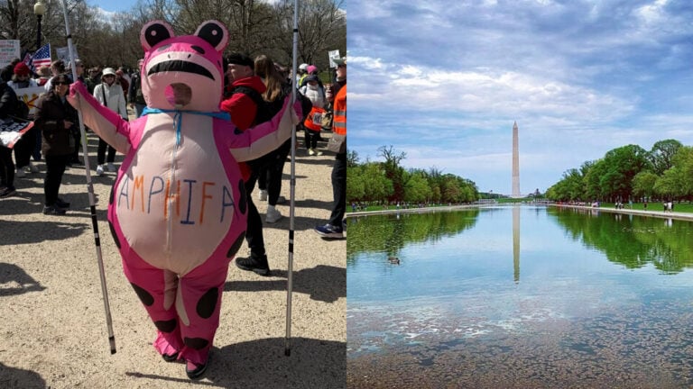 ‘He Likes Them Young’: Pro-Algae Protester Mocks Trump’s Failed Reflecting Pool in Washington DC, Goes Viral WAshington DC Relfecting Pool algae protest