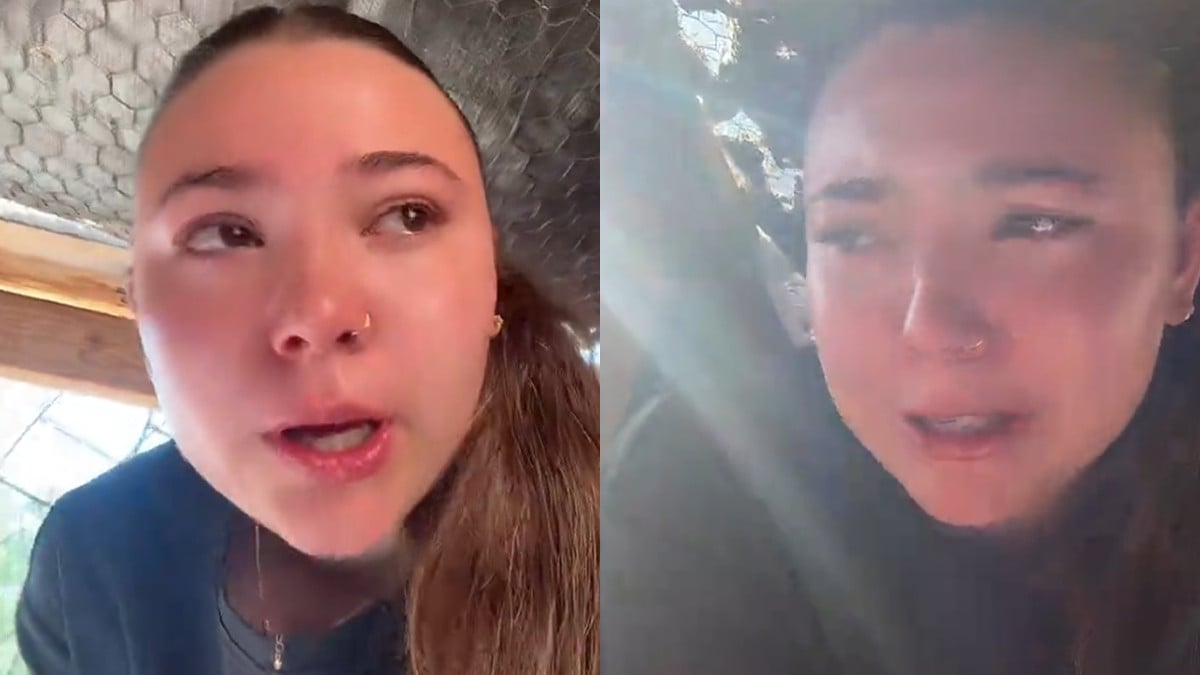 Arizona Woman Trapped Herself Escaping Chickens: ‘The Chickens Laughing at You Is Sending Me’