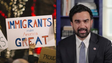 new york zohran mamdani immigrant