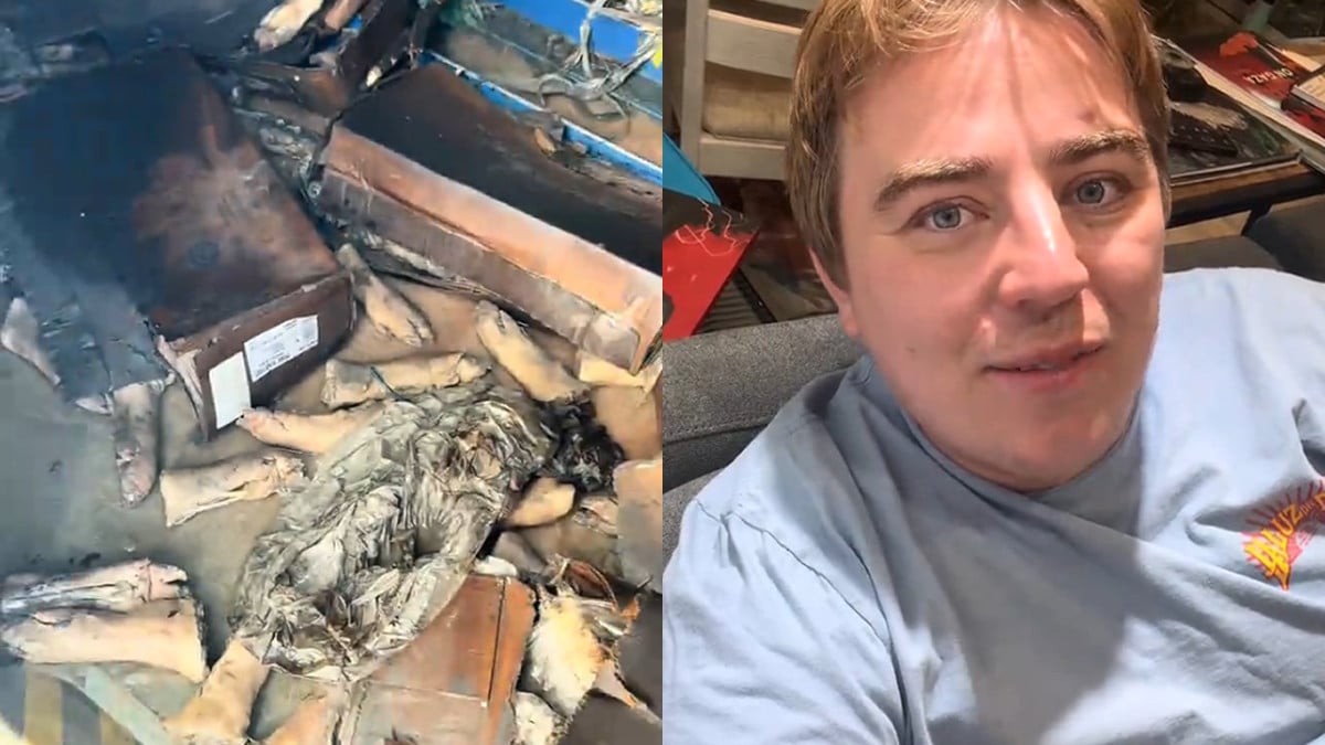 Rotting Food and Sun-Soaked Tilapia in California Warehouse Raise Eyebrows: ‘I Just Know It Smelled Horrible’