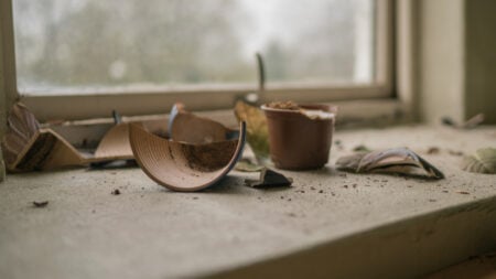 Broken pots near a window