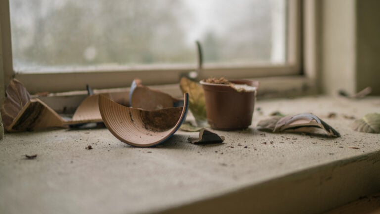 Broken pots near a window