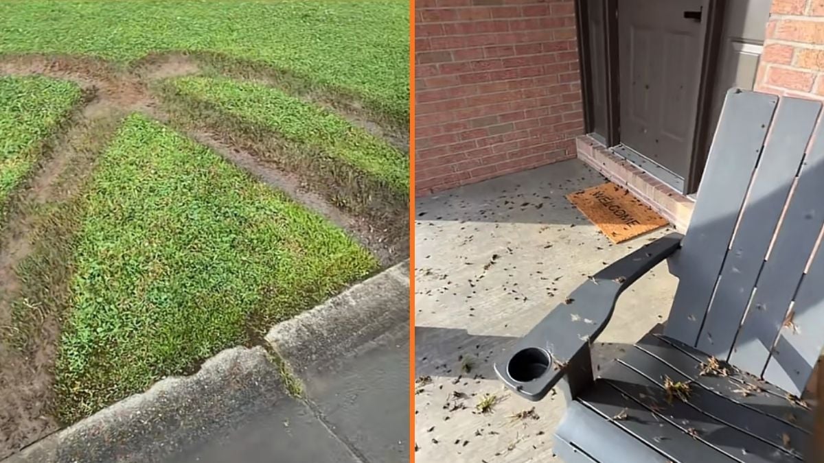 ‘We’re pressing charges’: Airbnb Hosts Furious After Driver Tears Up Their Front Lawn in West Virginia