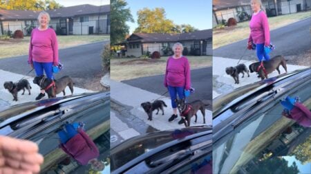Woman walking two dogs beside a parked car in a residential neighborhood.