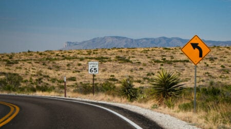 Texas Speed Limit 65 Sign