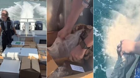 Hundreds of Unclaimed Human Remains Scattered off North Carolina Coast Leave Internet Horrified