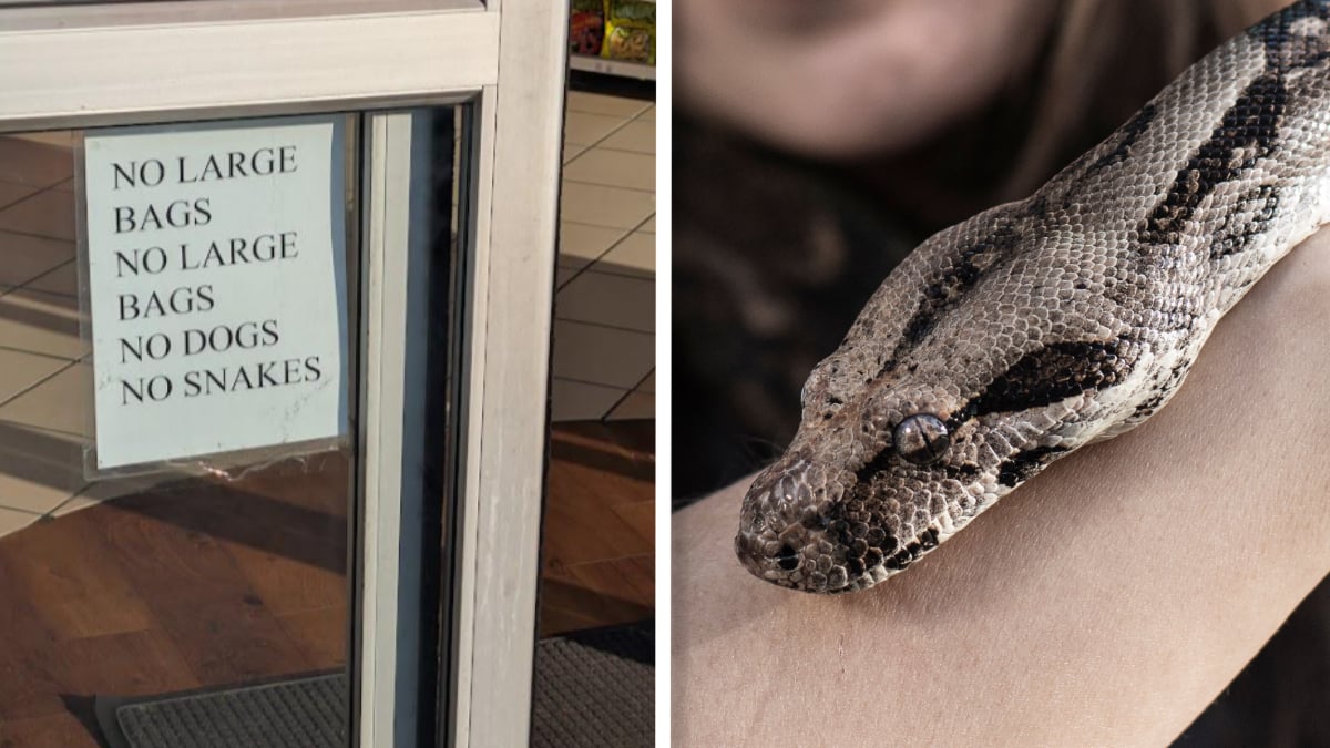 North Carolina Convenience Store Bans Customers from Bringing Snakes: ‘Who Needed To Be Told This?’