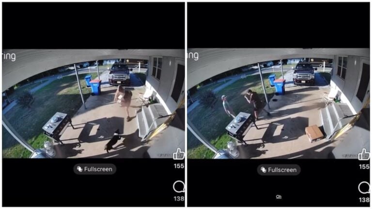 Texas Delivery Driver Throws Package at Charging Dog Before Squaring Up to Homeowner: ‘Come On, Let’s Go’ Texas dog attack incident