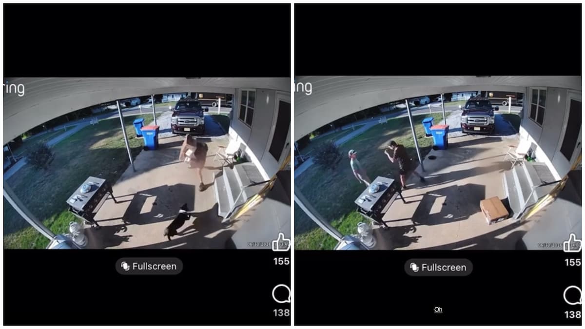Texas Delivery Driver Throws Package at Charging Dog Before Squaring Up to Homeowner: ‘Come On, Let’s Go’