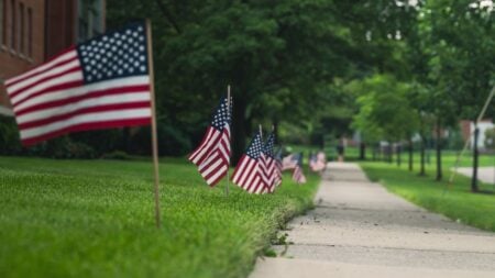 Illinois Man Stunned After Seeing Hundreds of American Flags at Bass Pro Shops: ‘I’ve Never Seen So Many’ American flags on a grass lawn beside an urban sidewalk, symbolizing patriotism.
