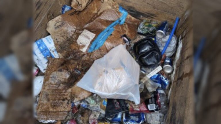 Texas Man Says Amazon Driver Delivered Package Into His Trash: ‘A Genius Solution to the Package Theft Problem’ Texas Man Says Amazon Delivered His Package Into His Trash Box