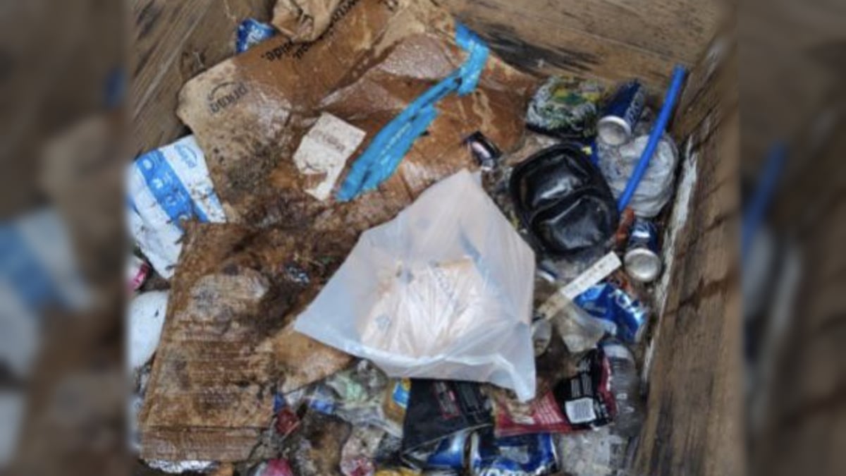 Texas Man Says Amazon Driver Delivered Package Into His Trash: ‘A Genius Solution to the Package Theft Problem’