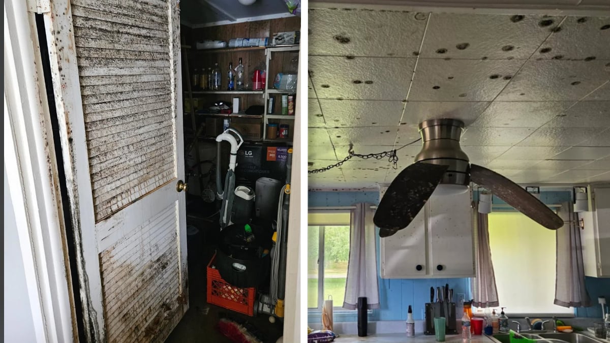 New York Resident Returns to Mold-Infested Cottage With Warped Walls and Sagging Ceiling Fans: ‘May as Well Throw the Whole House Out’