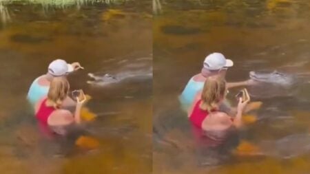 A picture of the Florida couple.