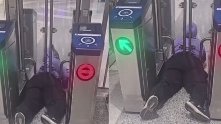 California Woman Gets Stuck Under BART Fare Gate After Trying to Skip the Fare: ‘Stupid Is As Stupid Does’ A picture of the California woman.