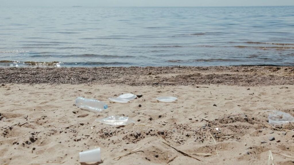 California Man Melts Down After Being Asked To Pick Up Trash At Malibu Beach: ‘My Daddy Will Sue You Vibes’ Image depicting plastic pollution and litter scattered along a sandy beach shore.