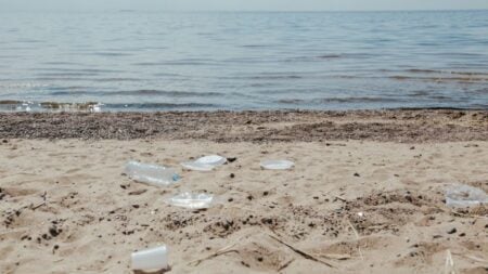 California Man Melts Down After Being Asked To Pick Up Trash At Malibu Beach: ‘My Daddy Will Sue You Vibes’ Image depicting plastic pollution and litter scattered along a sandy beach shore.
