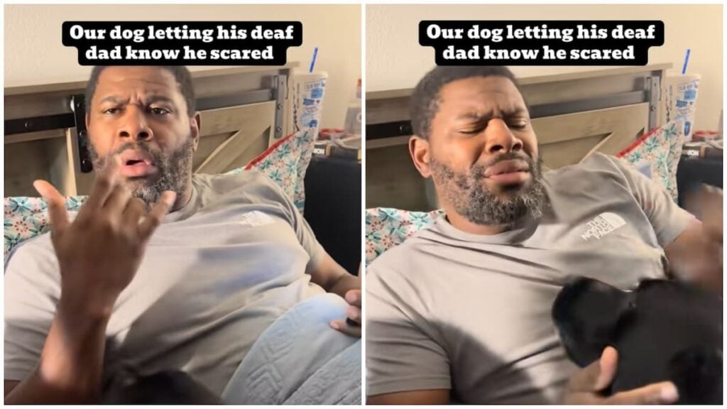 ‘Daddy Will Protect You’: Indiana Dog Goes Viral After Asking Dad for Comfort During Fireworks Indiana man comforts his dog due to fireworks