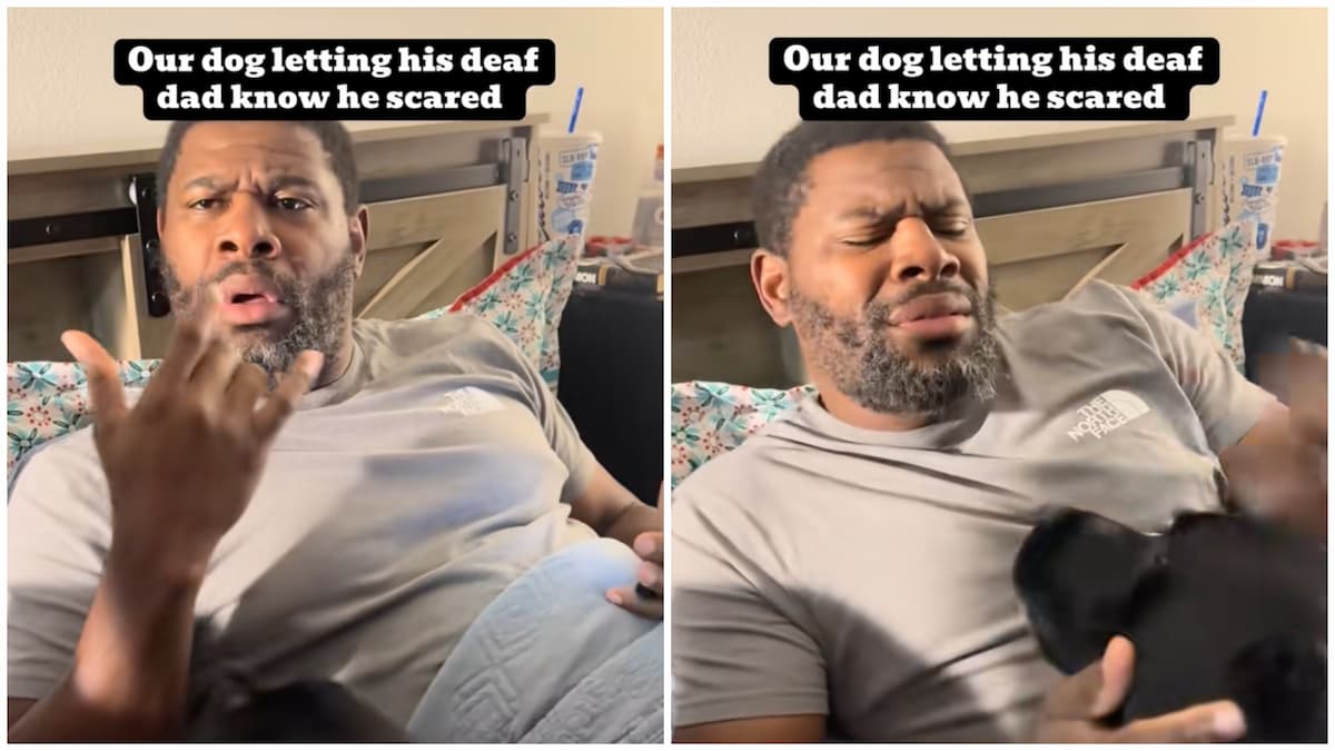 ‘Daddy Will Protect You': Indiana Dog Goes Viral After Asking Dad for Comfort During Fireworks