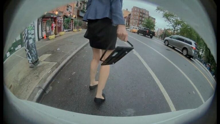 Video Shows New York Woman Casually Ripping License Plate Off Parked Tesla In Broad Daylight: ‘Pretty Sure Her Name Is Karen’ Dashcam still of a woman ripping a license plate off a parked white Tesla in New York