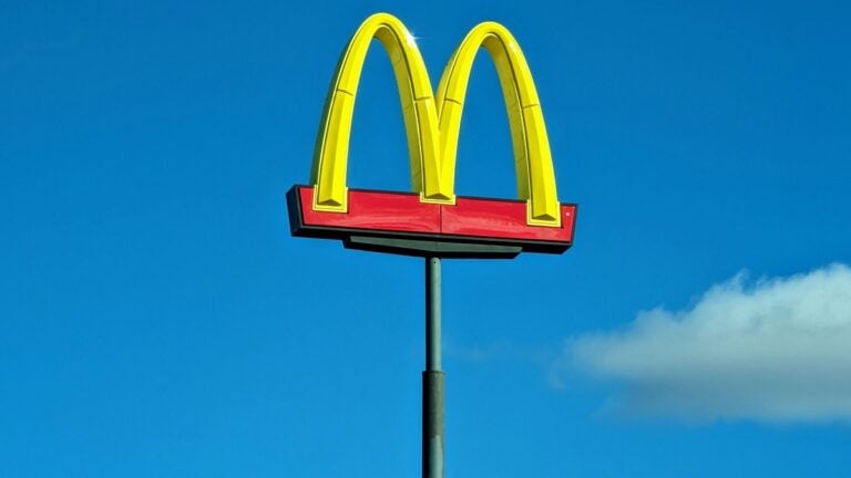 Michigan McDonald’s Customer Has Meltdown Over Windshield Wipers: ‘Customers need to learn their place’ Michigan-McDonalds-Customer-Has-Meltdown-Over-Windshield-Wipers