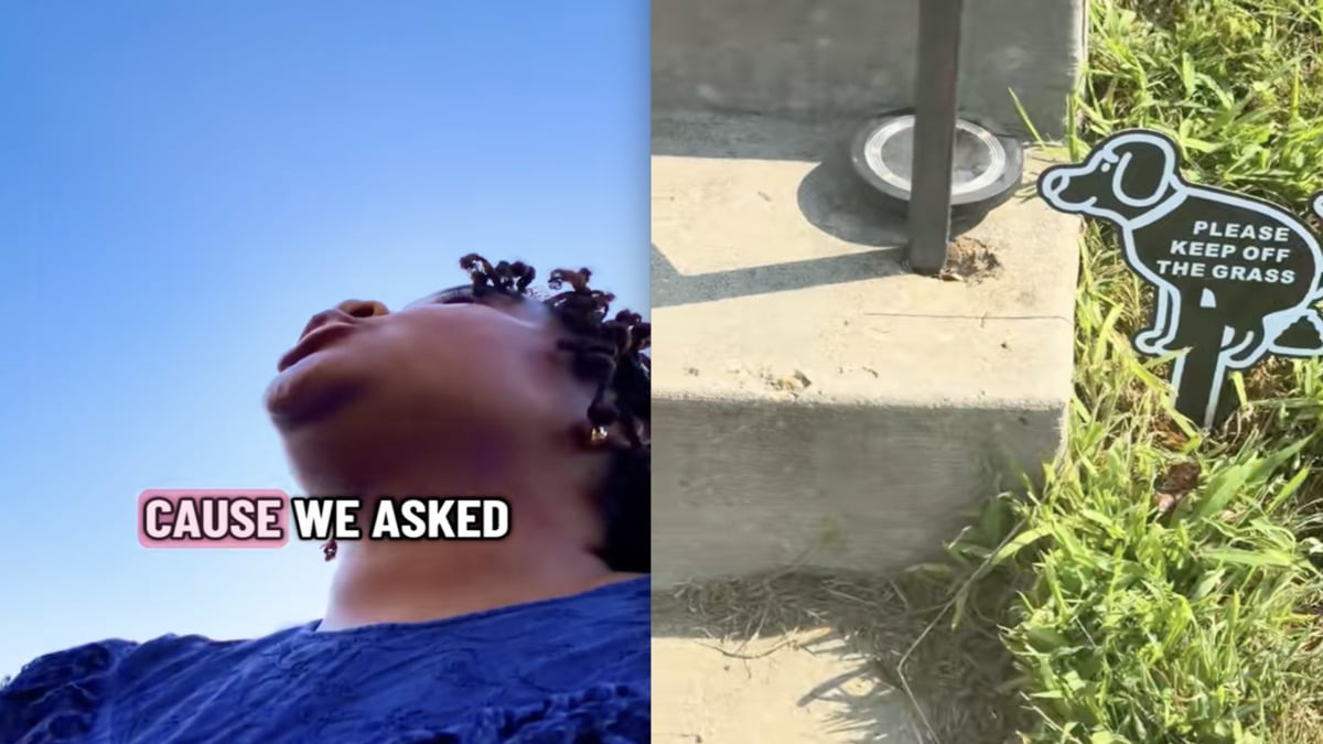 Maryland Woman Crashes Out on Neighbor When His Dog Pees on Her Garden: ‘Them Green Onions Were the Last Straw’